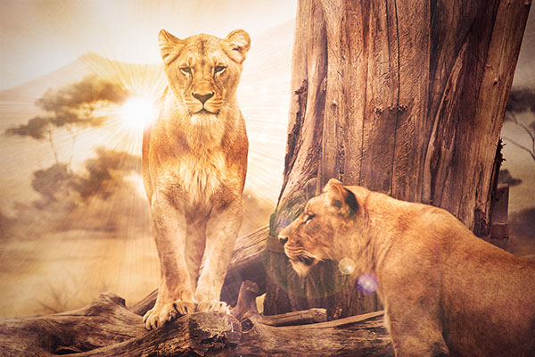 Добавить интенсивный эффект вспышки