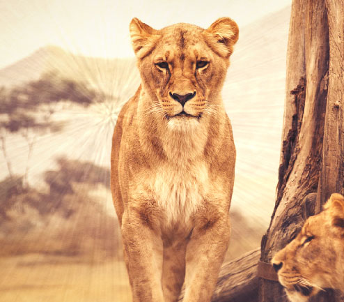 Добавить интенсивный эффект вспышки 9