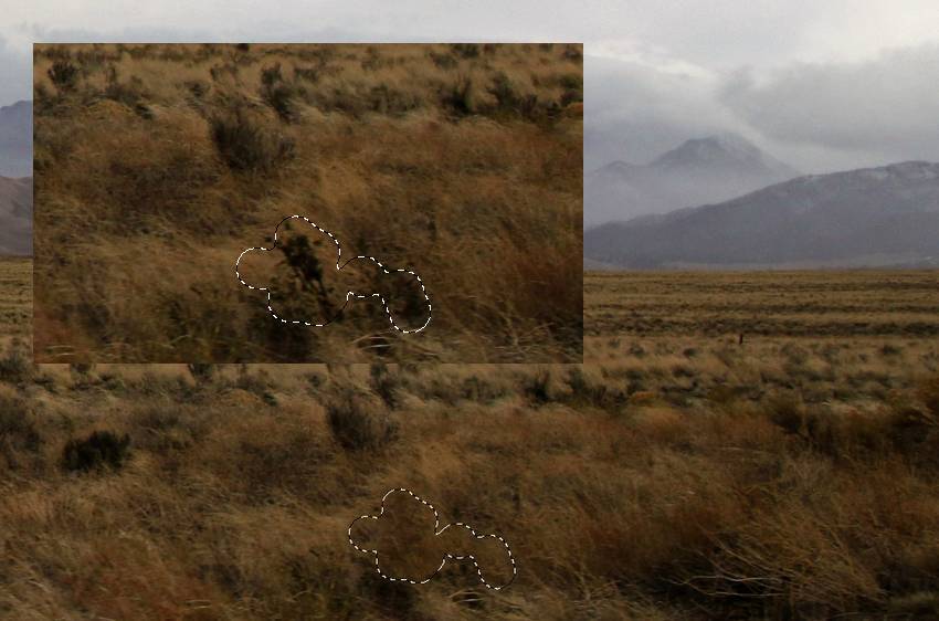 пейзаж клонирование