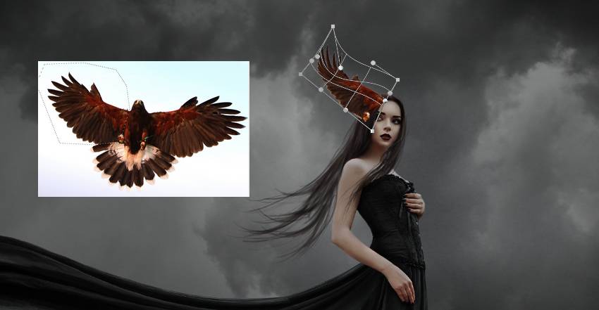 добавить левое крыло