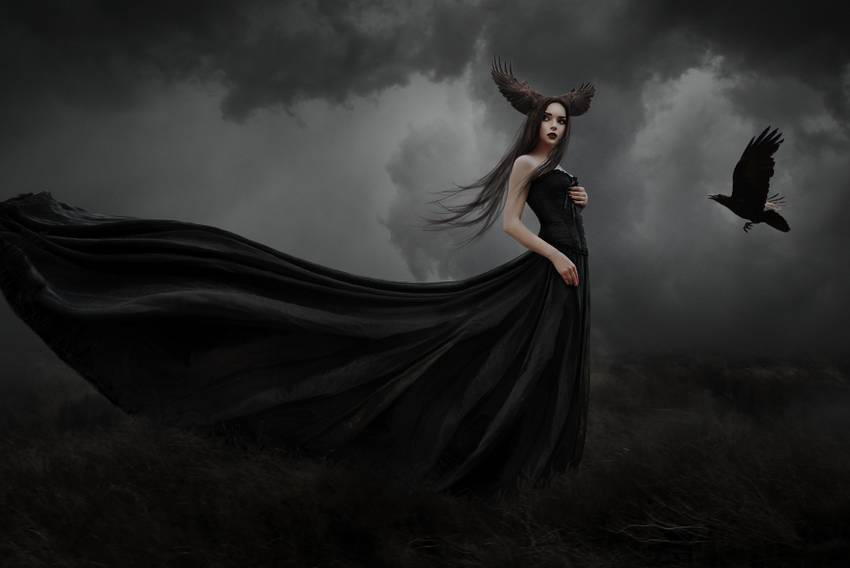 добавить ворону 1