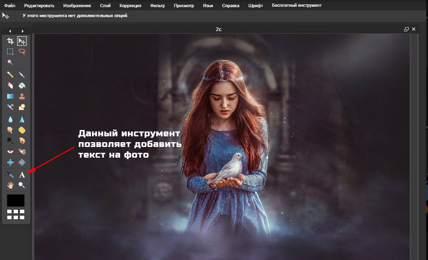 инструмент текст на фото онлайн