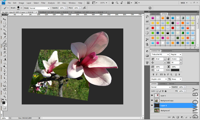 Живая фотография