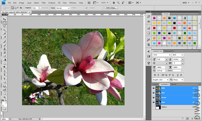 Живая фотография