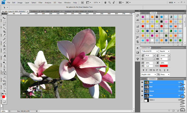 Живая фотография