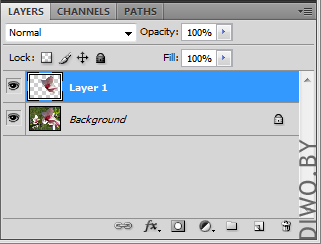 Живая фотография