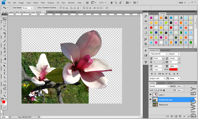 Живая фотография
